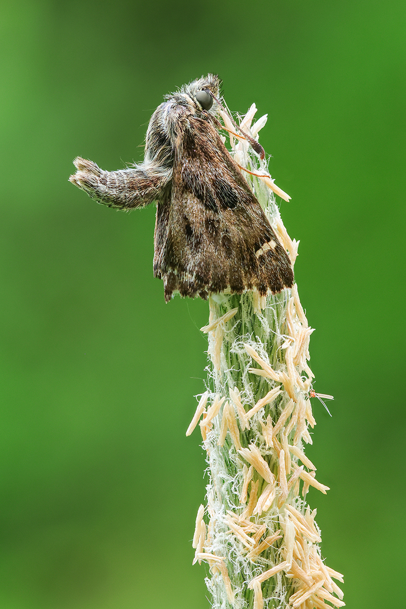 2026-05-09 18-18-49 (B,Radius10,Smoothing5).jpg 25 Bi_SHARPEN projectsDENOISE projects.jpg