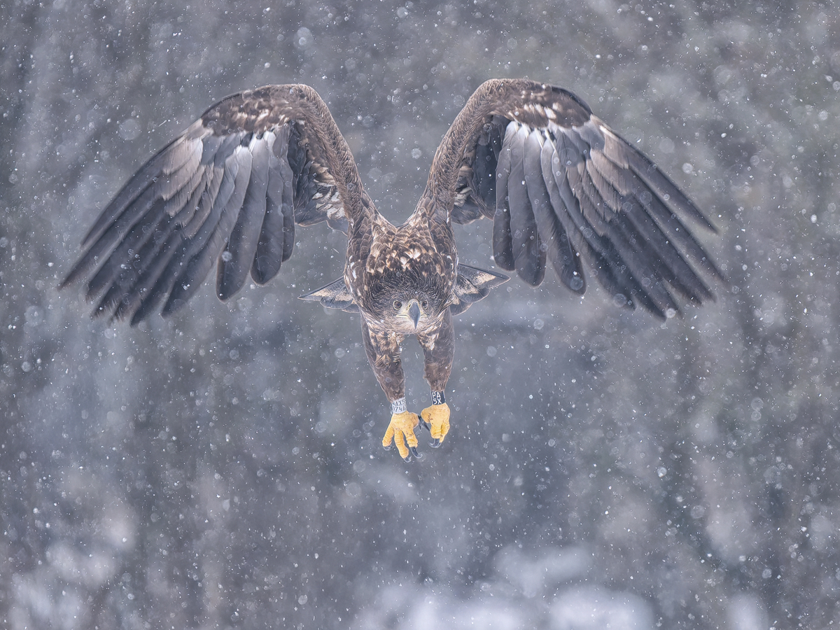 20260210-_1173095-2-Bearbeitet-Kopie.jpg