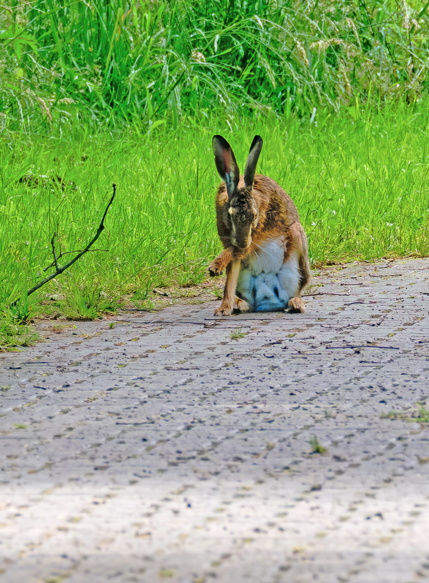 P1075270-.JPG