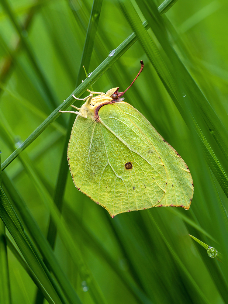 _7011126-Kopie.jpg