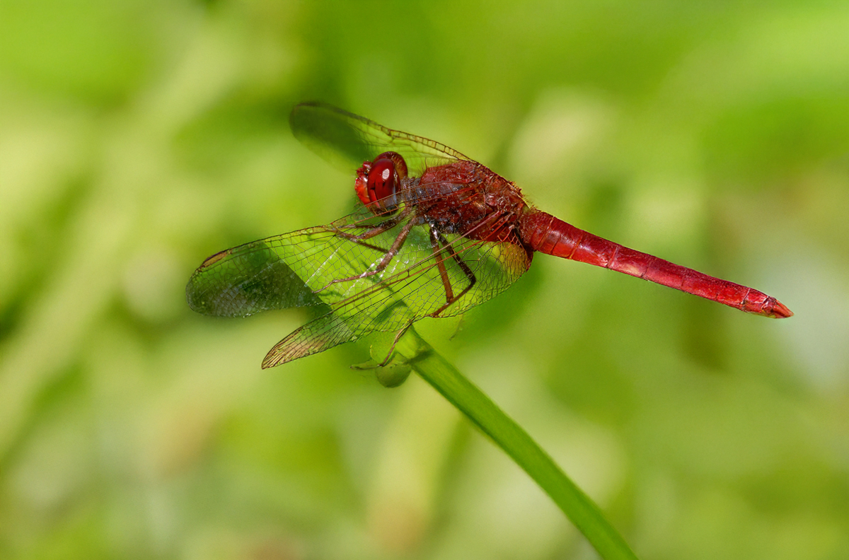 P1075301-.JPG