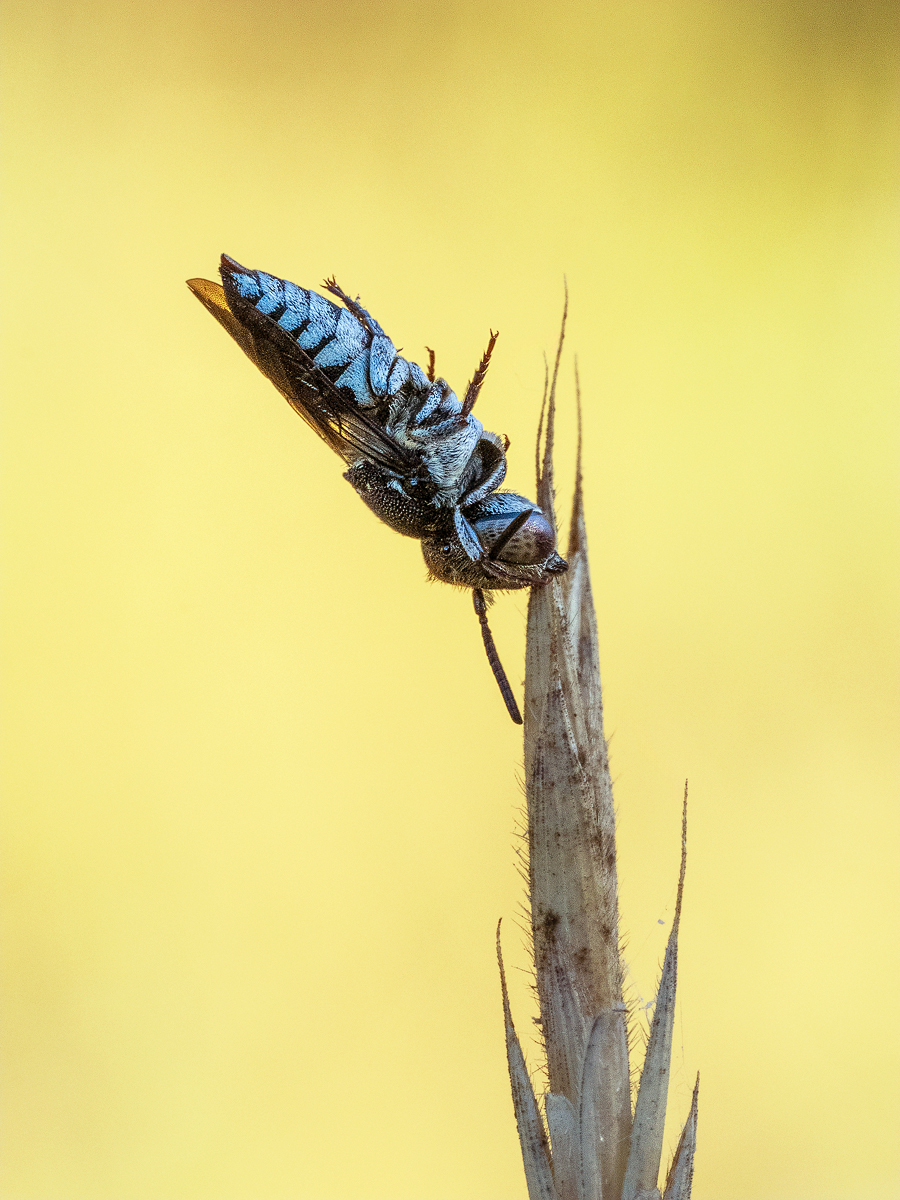 _7122641-Kopie.jpg