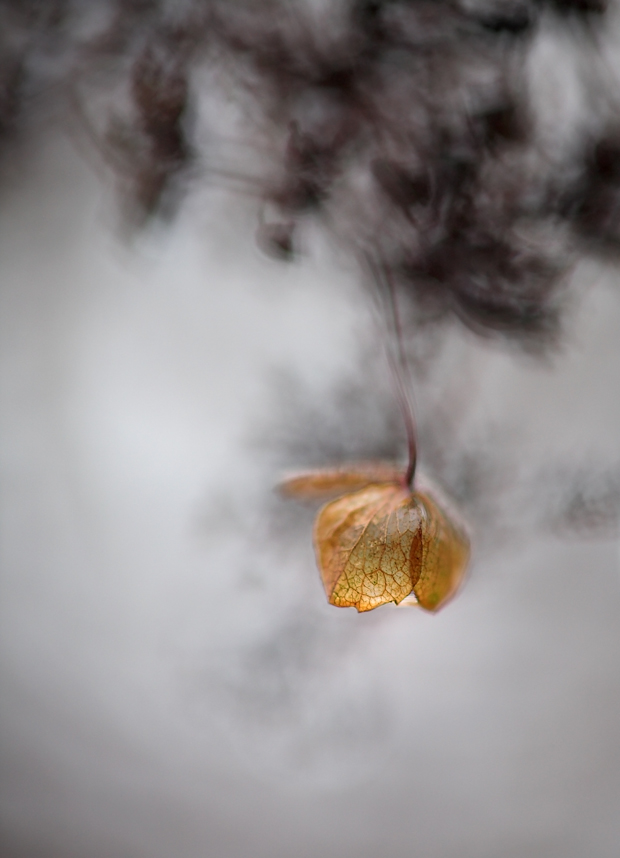 5D-5-8400--B1.6-L1.jpg