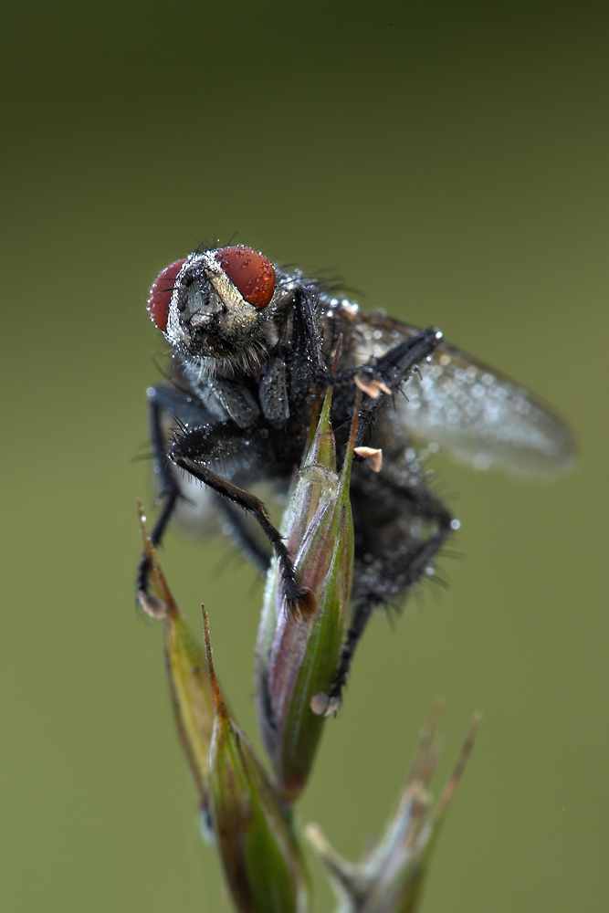 RE1Y1647-01.jpg