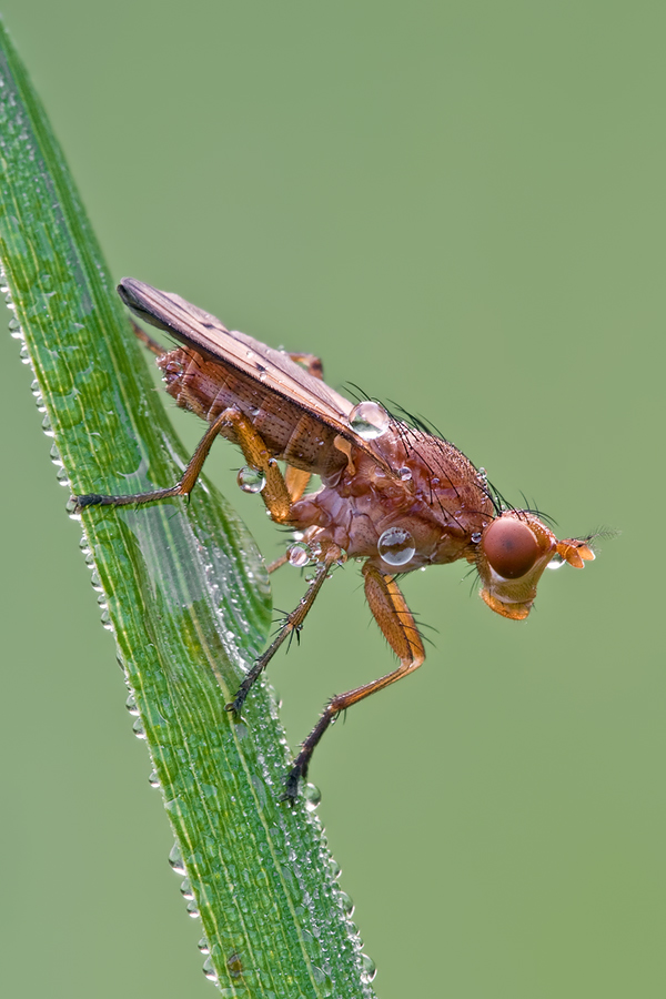 DSC_2699.jpg