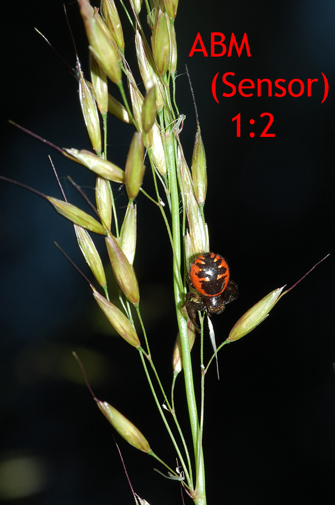 DSC_1073WEB.jpg