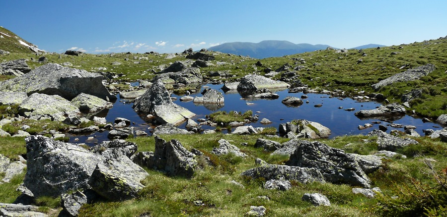 wildsee062.jpg