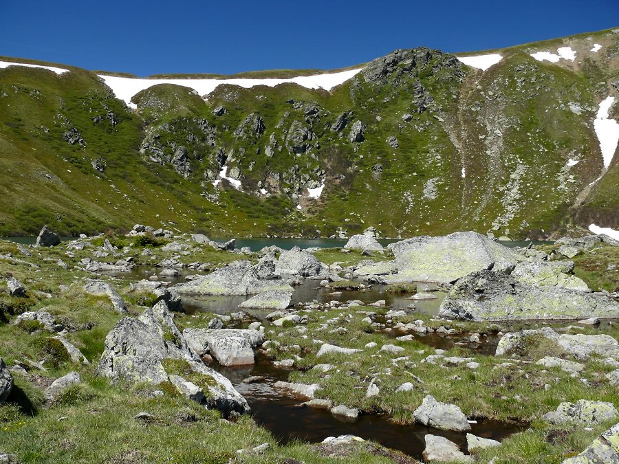 wildsee034.jpg