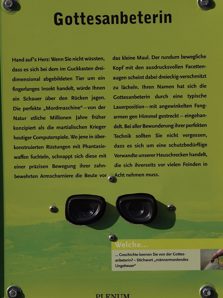 Lehrpfad.jpg