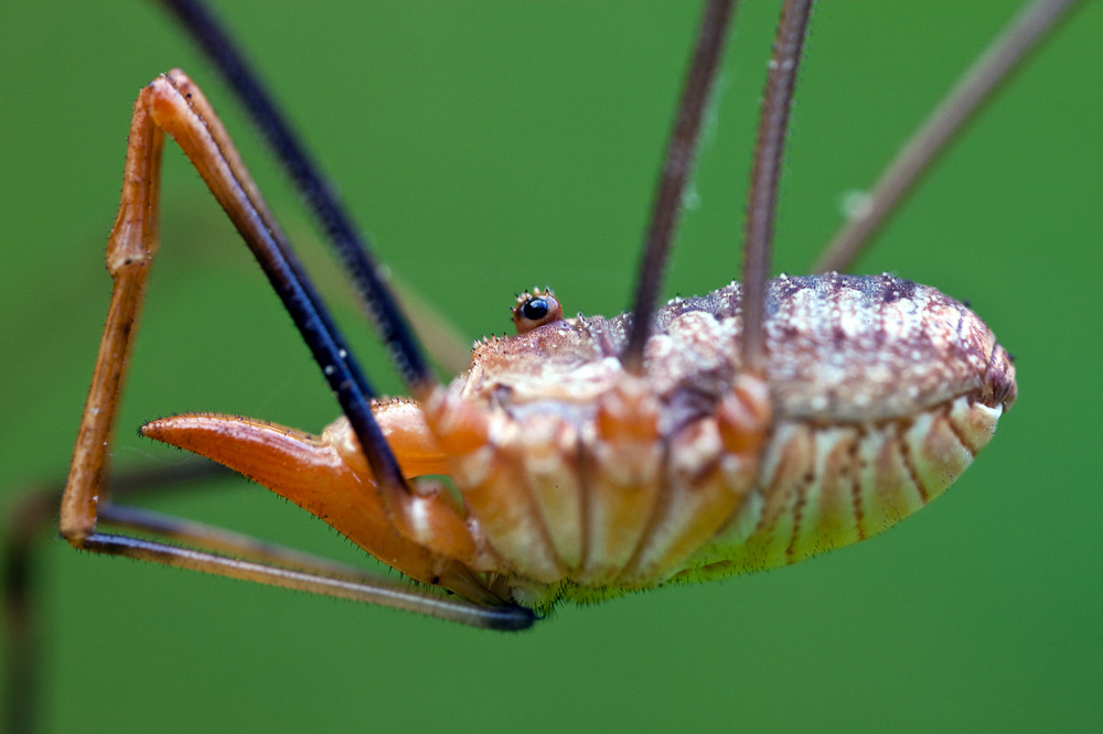 -Bearbeitet-3 Kopiespezial.jpg