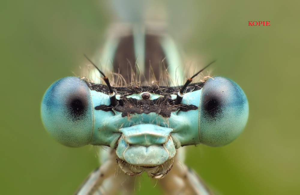 dsc_8299_020_web_202 Kopie.jpg