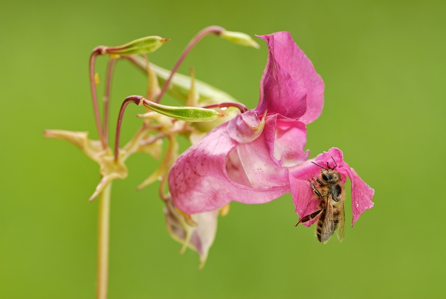 comp_DSC_3049JPG.jpg