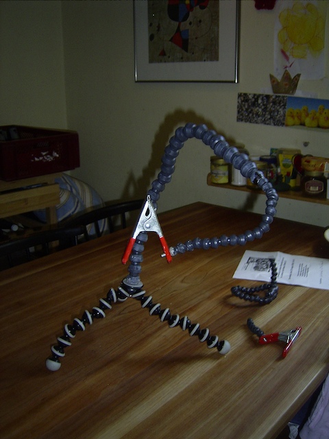 RIMG0333.jpg