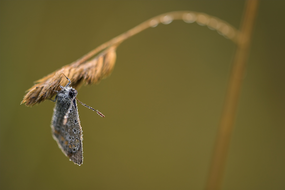RE1Y6119-01.jpg