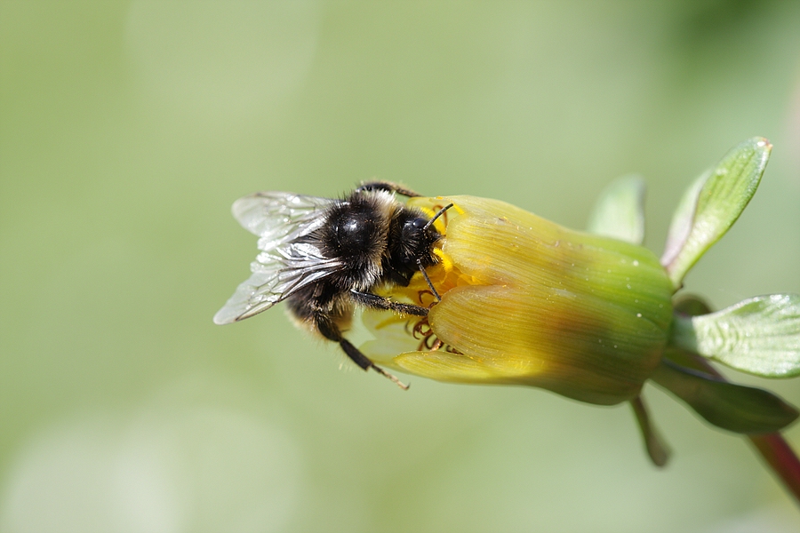 Ist jemand da J.F.jpg