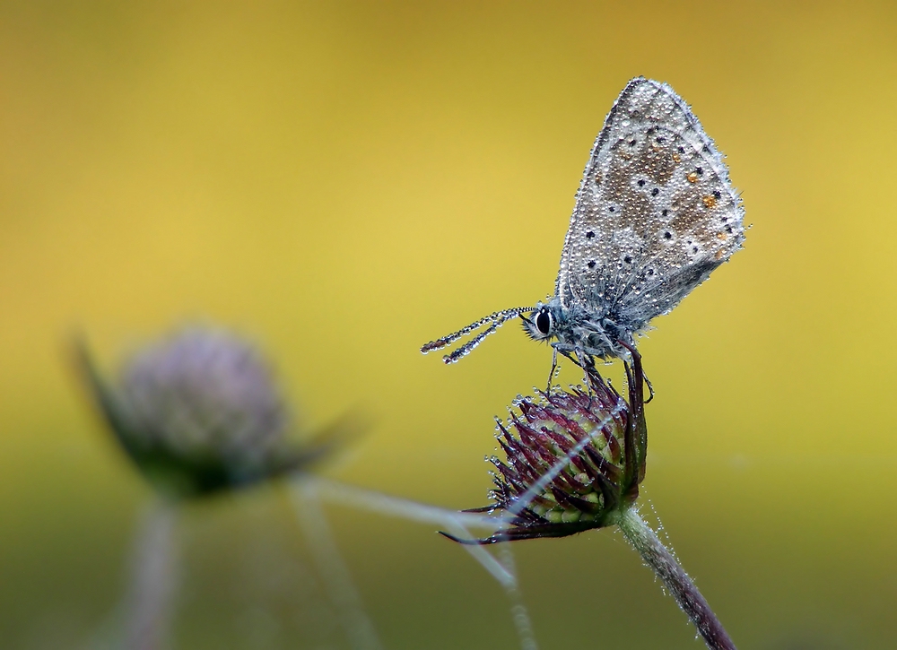 comp_Hochseilakt zwei_filtered.jpg