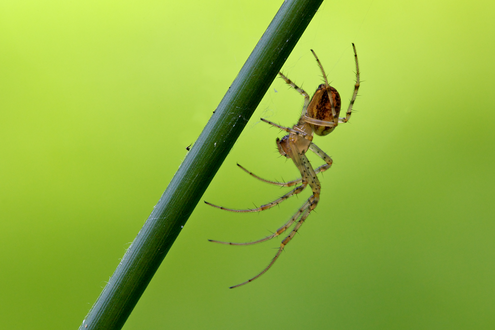 IMG_7603web.jpg