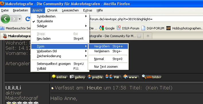 Für-Anne.jpg