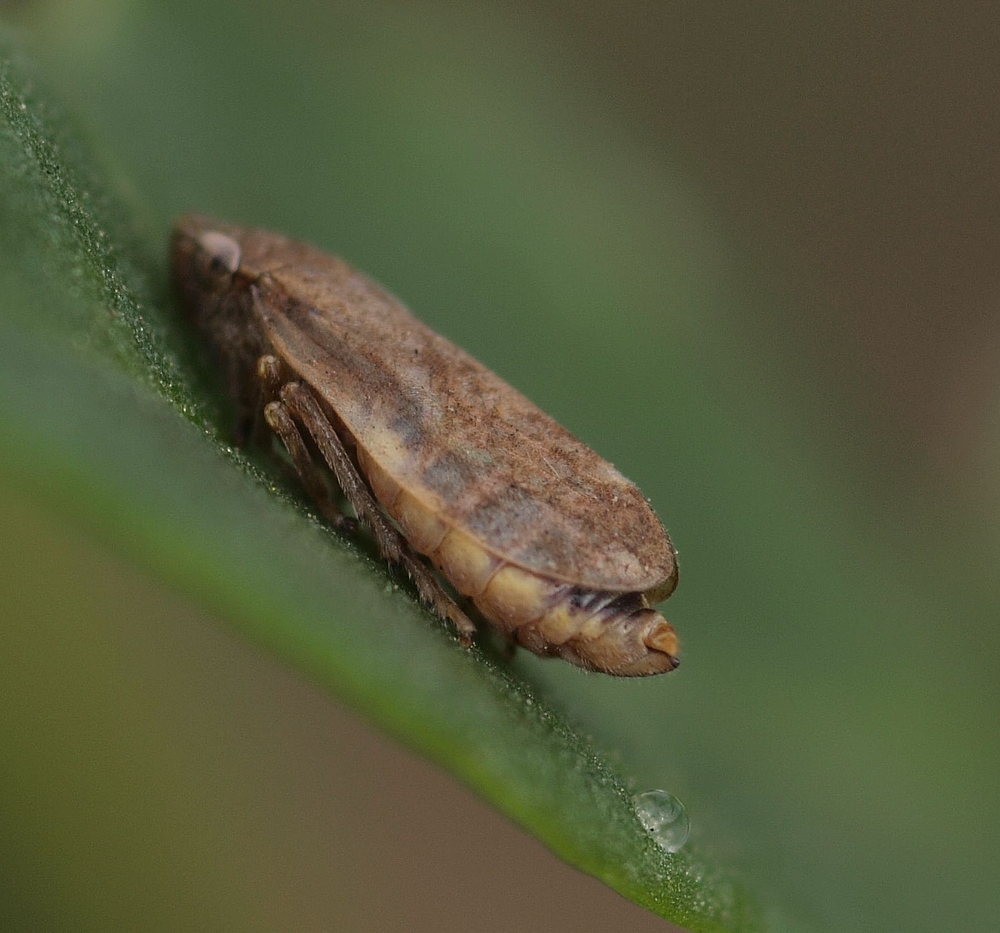 03-Rausgefallen.jpg