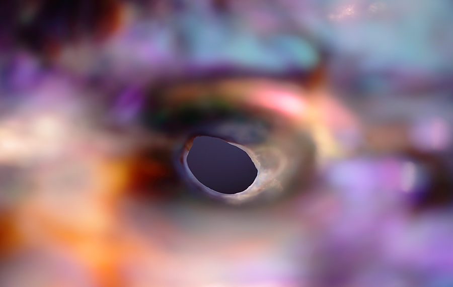 center of universe.jpg