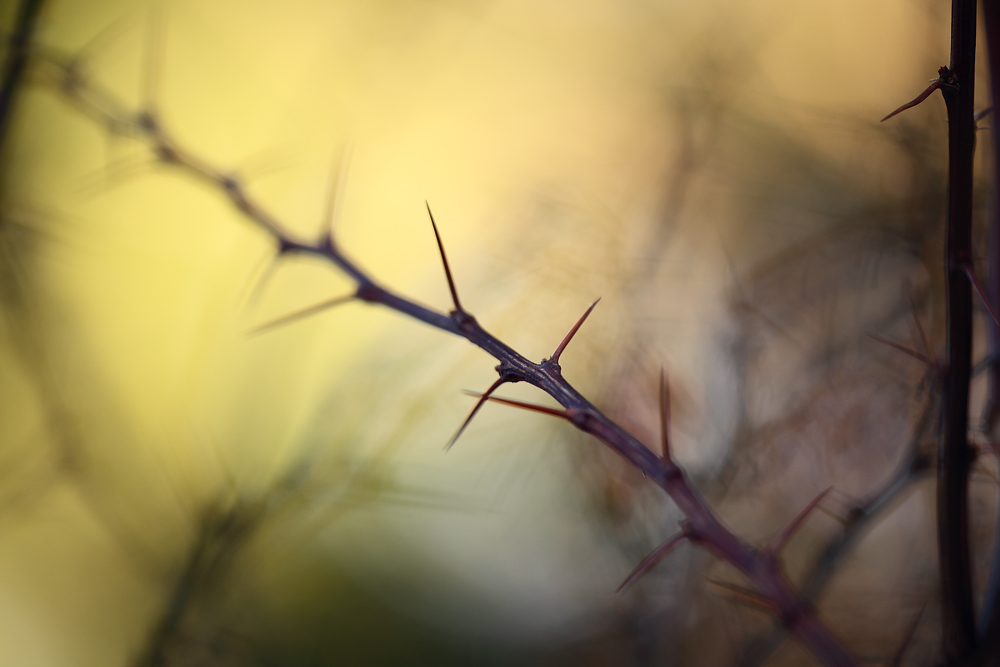 Feb_005.jpg