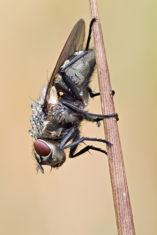 P9112860-F-11-Sec-3,2.jpg