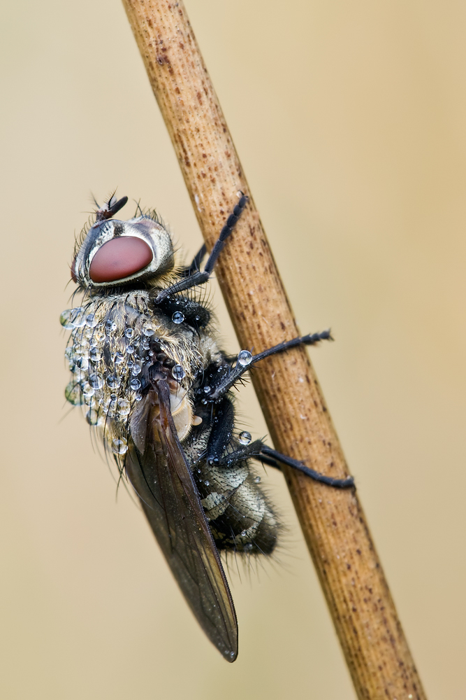 P9112857-F-11-Sec-3,2.jpg