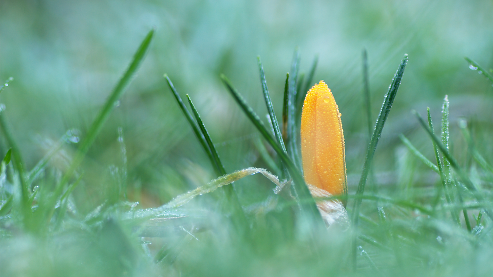 DSC_8362_RT3a1_V2.jpg