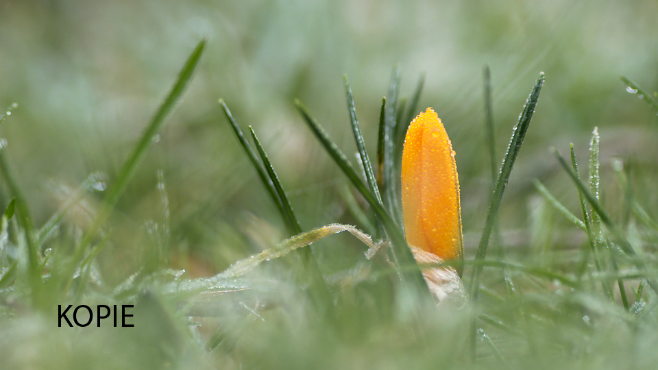 dsc_8362_rt3a1_v3_927.jpg