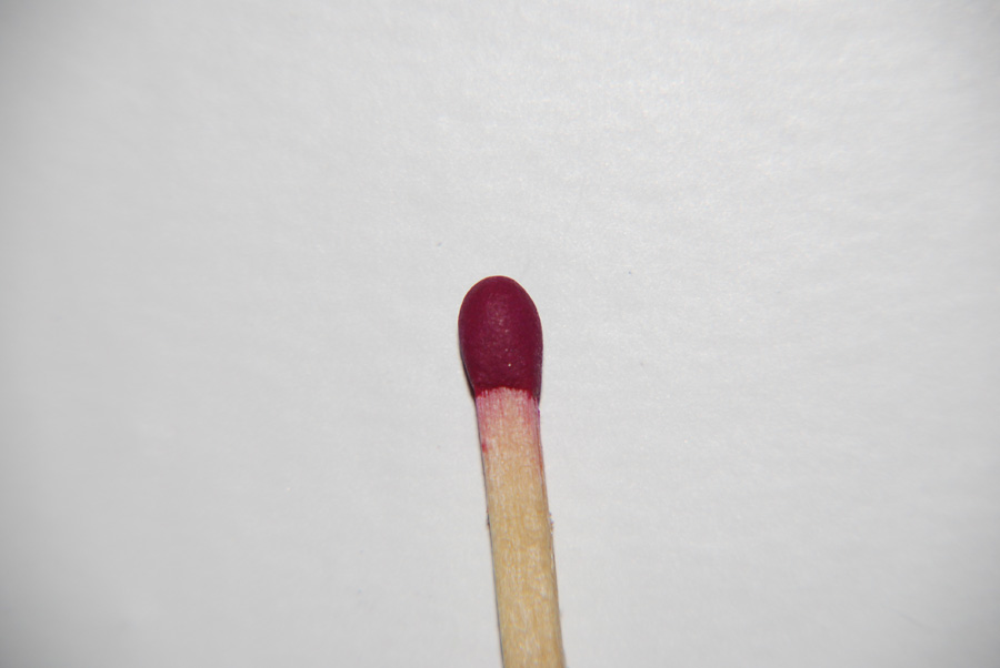 Bild3.jpg