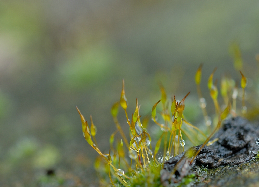 comp_DSC_0196.jpg