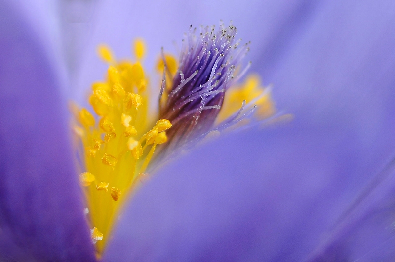 comp_DSC_7665.jpg