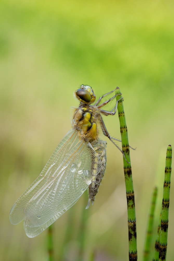 comp_DSC_1542.jpg