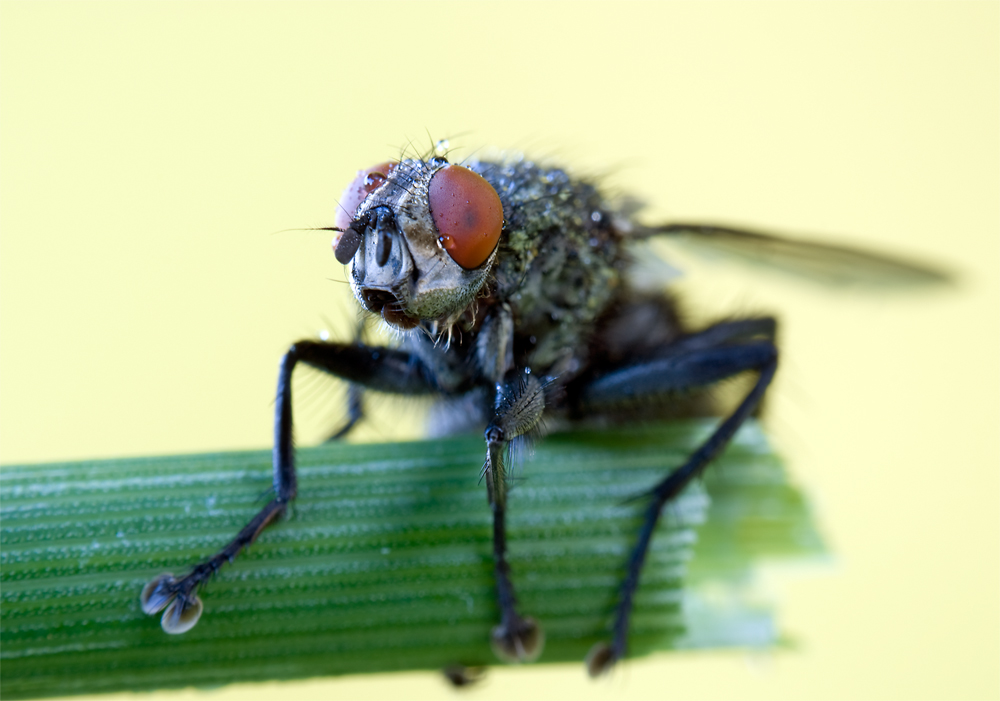 Ich warte bis es wärmer wird.jpg
