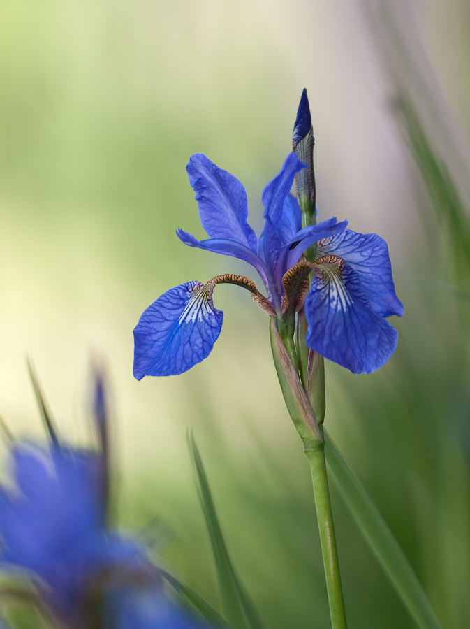 2010 05 23_1431_bearbeitet-2.jpg