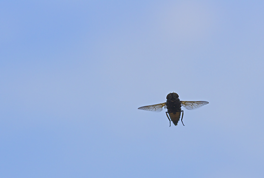 DSC08805.jpg