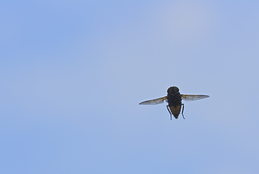 DSC08804.jpg