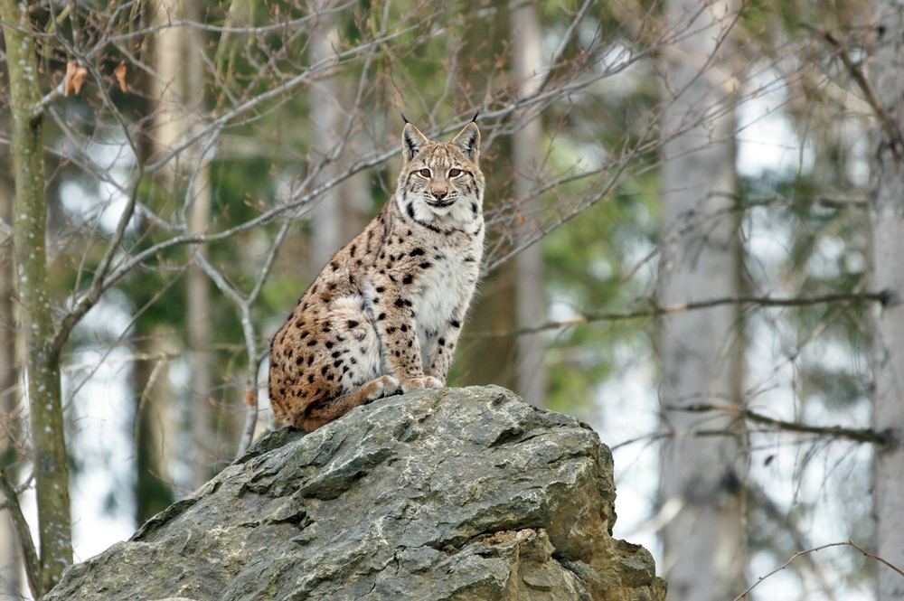 comprDSC01880_DxO_raw.jpg