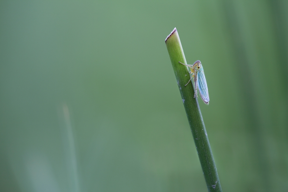 pbauer_IMG_0430 Kopie.jpg