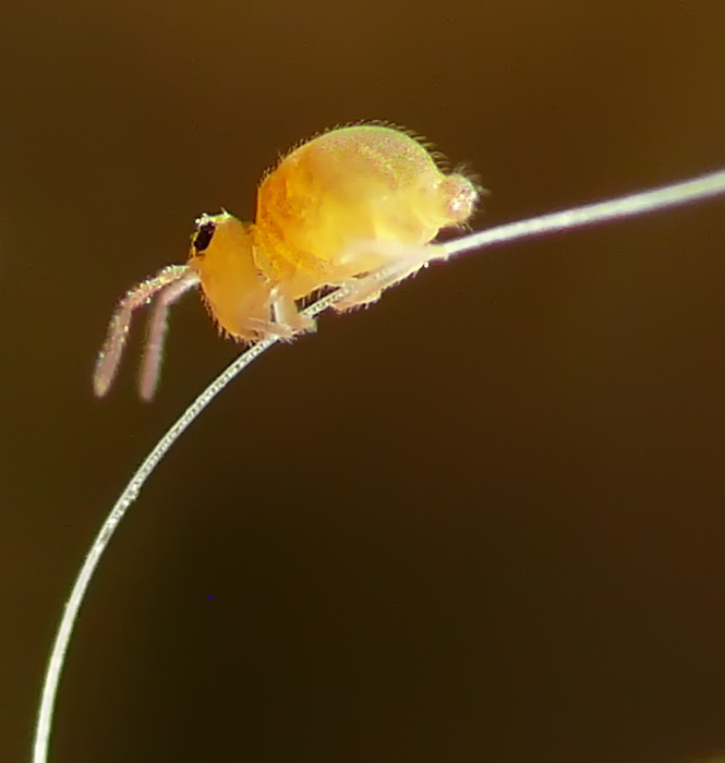 12081004a.jpg