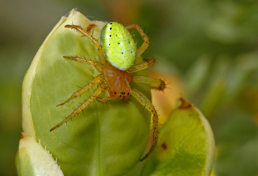 img_7805d_passig_gemacht_passig_gemacht.jpg