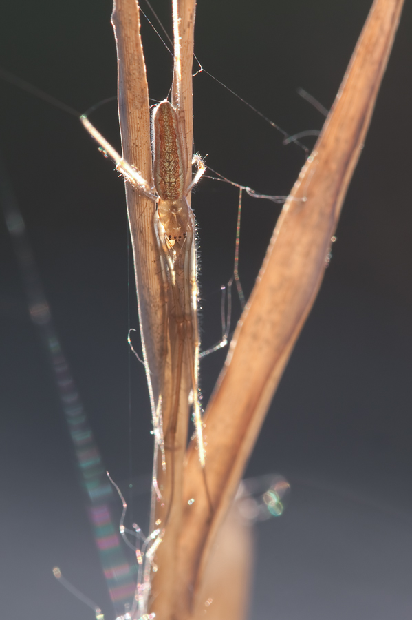 20100428.jpg