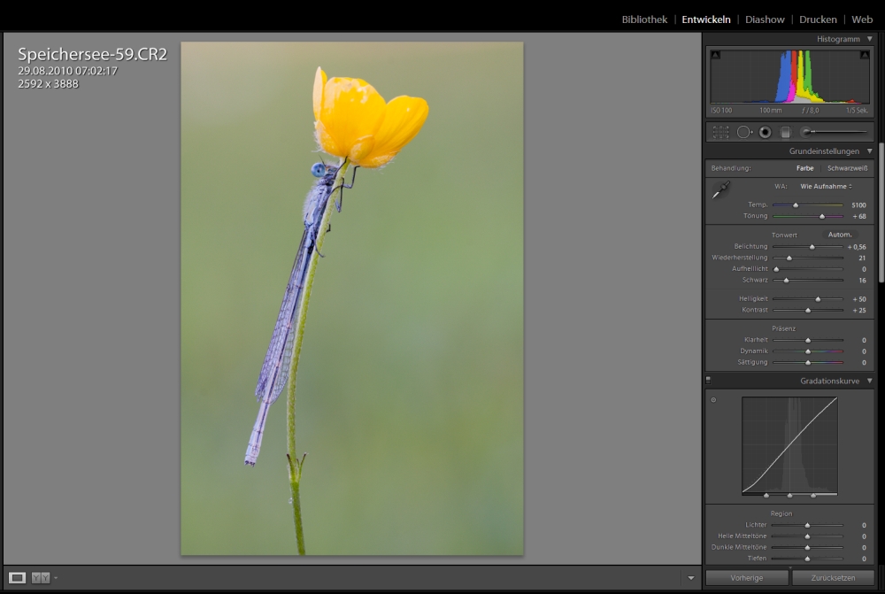 Lightroom.jpg