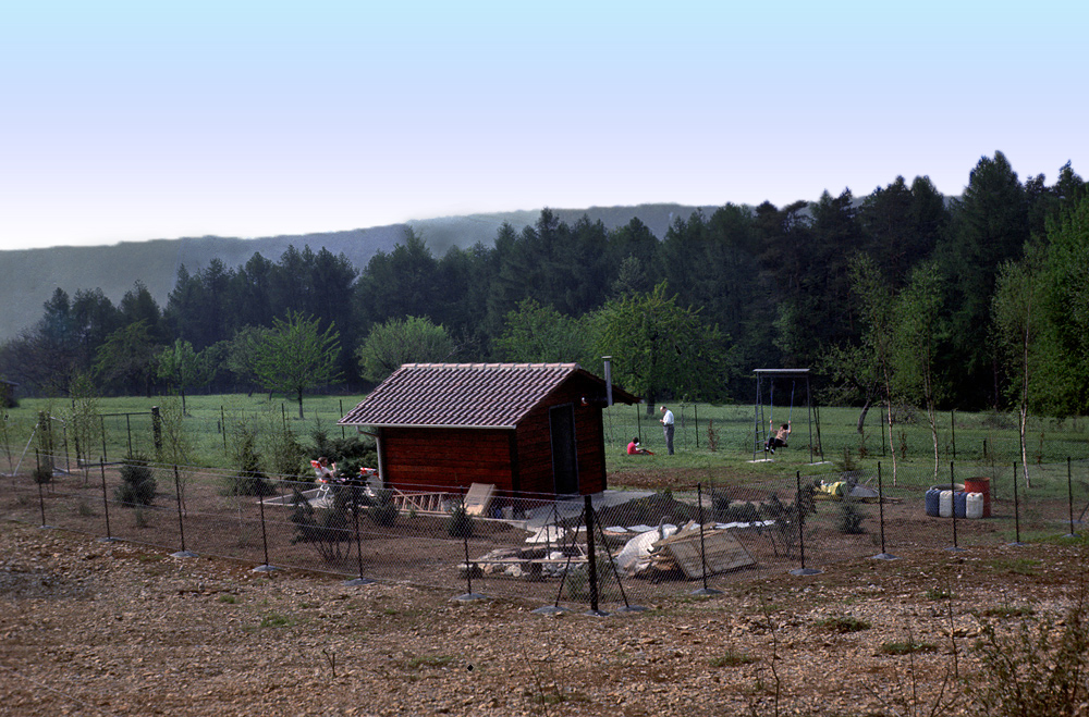 bild010_dia_588.jpg