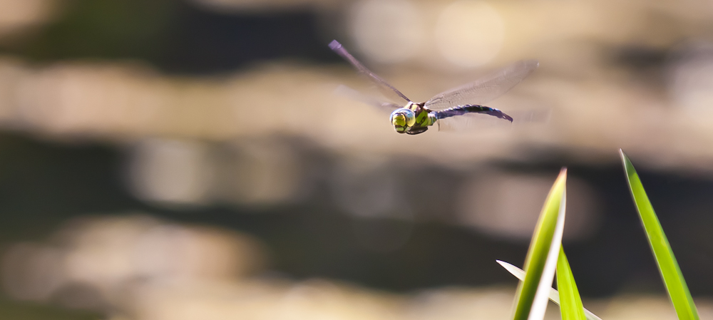 2010.10.04 12-21-12 7807.jpg