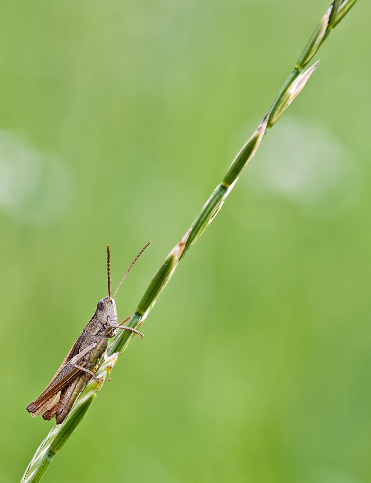 G_1000785_GHPF_WW.jpg