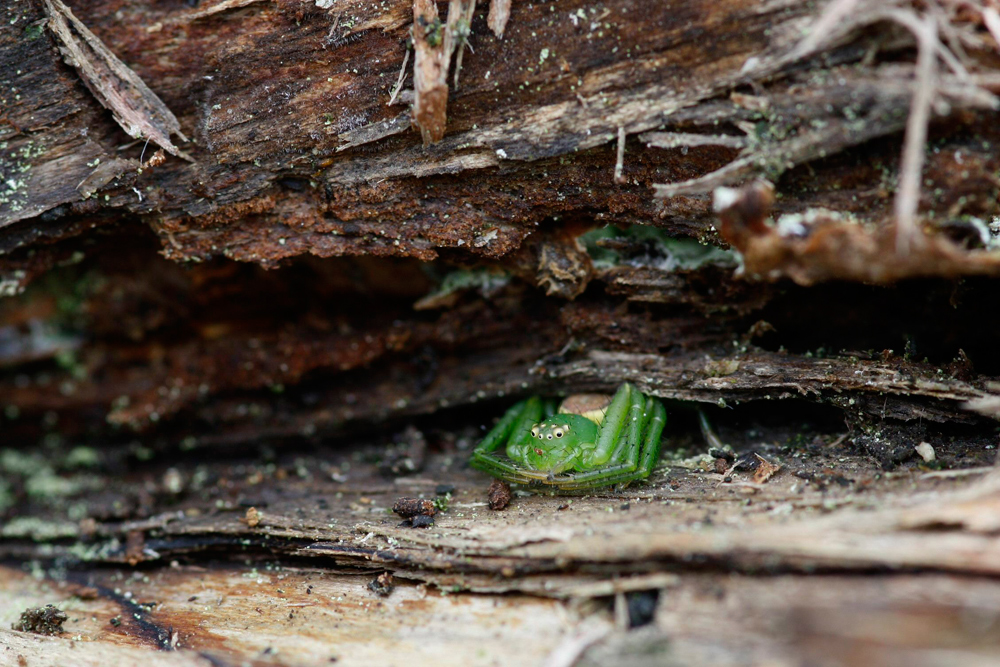 2011_02_06_08063_web_f2.jpg