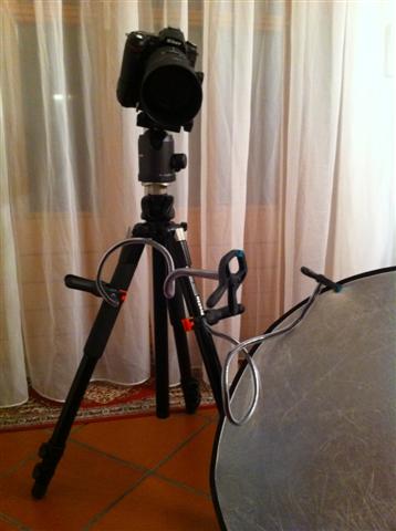 5 (Small).JPG