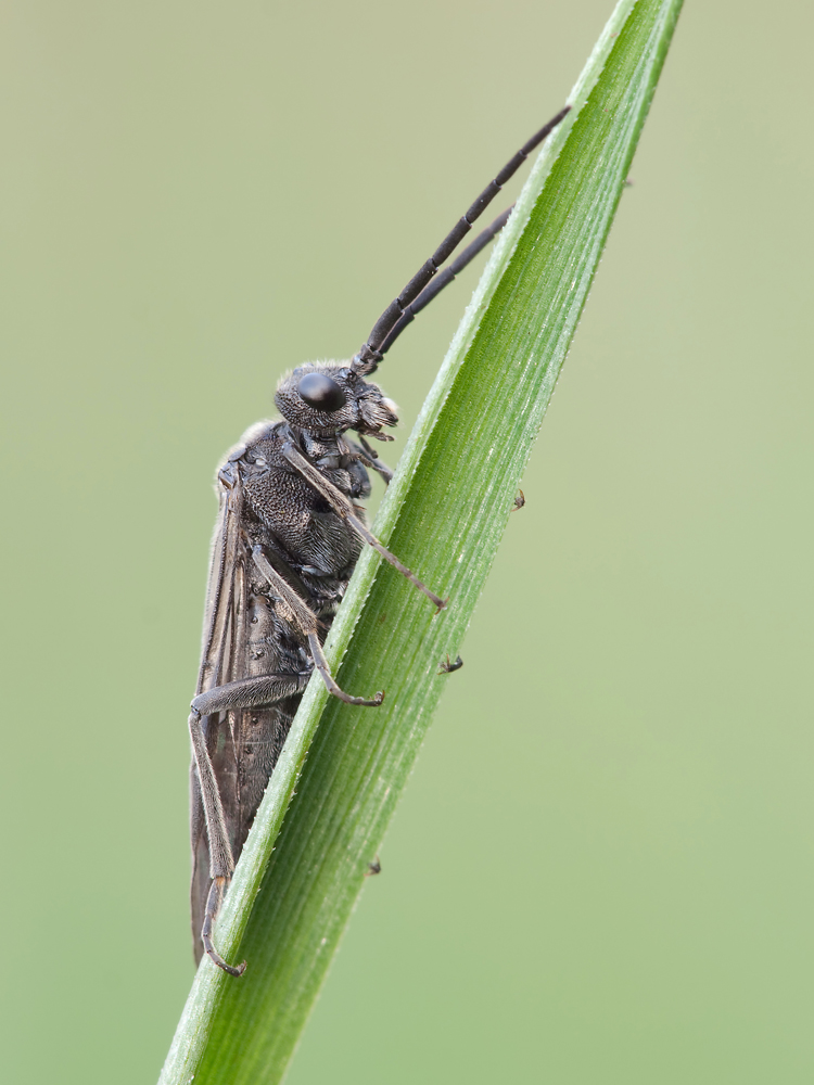 P4155443_entw_ed2_klein.jpg