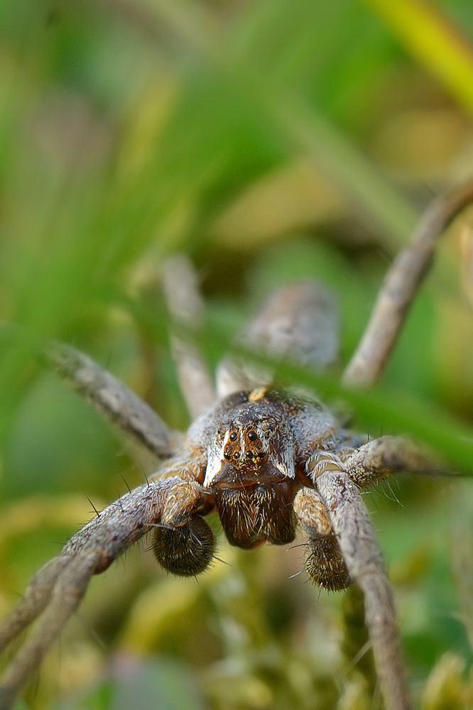 DSC_4291.jpg